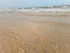 -日照海滨国家森林公园
