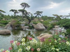 -罗红摄影艺术馆