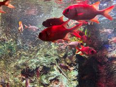 -太平洋海底世界