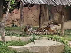-无锡动物园·太湖欢乐园