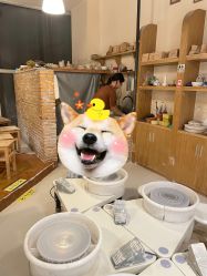 -素能手工陶艺馆·陶艺diy·亲子游乐(深圳书城·中心城店)