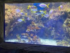 -南昌融创海世界