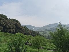 -广州市石门国家森林公园