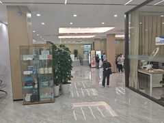 -上海大学附属上海和平眼科医院
