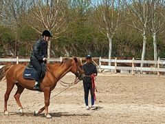 -北京群众马术培训基地