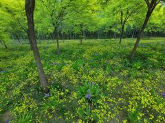 -东郊湿地公园