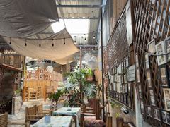 -Jungle Kitchen