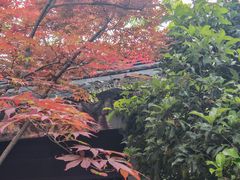 -苏州上方山国家森林公园