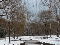 -莲花池公园