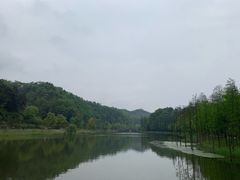 -常德桃花源景区