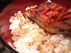 鳗鱼丼-名代宇奈备长炭烧鳗鱼居酒屋