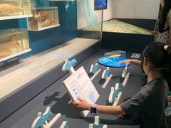 -四川大学博物馆