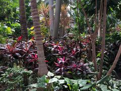 -国家植物园南园