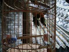 -鱼桥巷·美学川菜