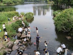 -重庆彩云湖湿地公园
