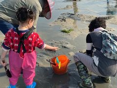 -北海金海湾红树林生态旅游区