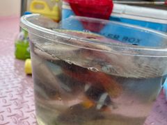 -小猫钓鱼海钓俱乐部(椰梦长廊店)