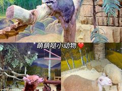 -正佳极地海洋世界