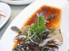 清蒸石斑鱼-达叔香味海鲜(海棠68环球美食街店)