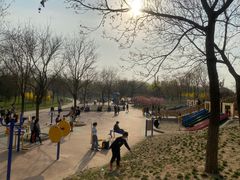 -大兴滨河森林公园