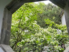 -惠山古镇·寄畅园