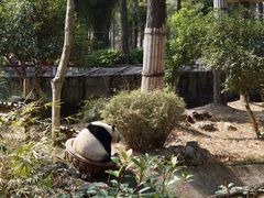 -安吉竹博园