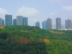 -重庆彩云湖湿地公园