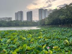 -南宁南湖公园
