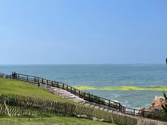 -小麦岛公园