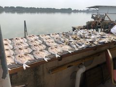 -南沙十九涌渔人码头-南门