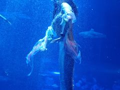 -太平洋海底世界