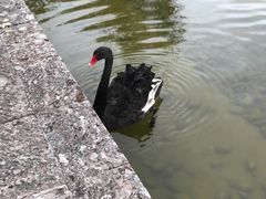-丽江金茂凯悦臻选酒店-滇香馆