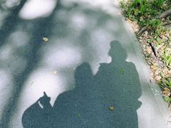 -上海滨江森林公园