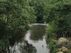 -白马涧龙池景区