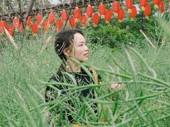 -天适樱花悠乐园