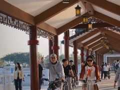 -长洲岛