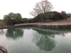 -八大山人梅湖景区