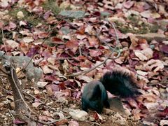 -龙洞风景区-藏龙涧