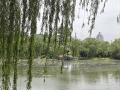 -皇家御河游(紫御湾码头)