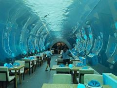 -海棠湾洲际-涛·海底餐厅·美人鱼·自助餐·海底隧道
