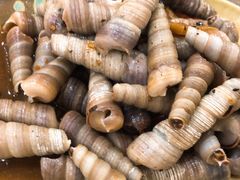 豉汁炒丁螺-贞姨美食·老字号海鲜大排档