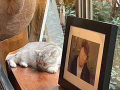 -咖法森林·咖啡  酒吧(天河店)