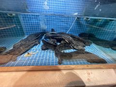 -小隐院子·庭院餐厅(大学城后湖店)