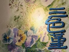 -三色堇(小通巷店)