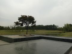 -两河城市森林公园