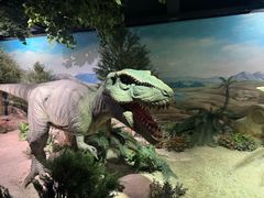 -国家自然博物馆