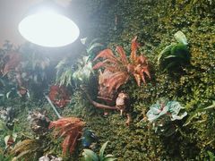 -味之绝热血美蛙鱼火锅(中坝店)