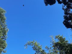 -海底捞火锅(人民广场店)
