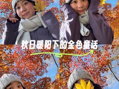-北陵公园