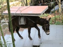 -藏龙百瀑风景区